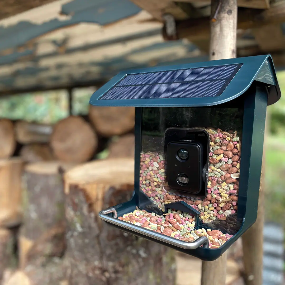 Vantage BirdView Pro WiFi Solar Bird Feeder Camera — in use outdoors
