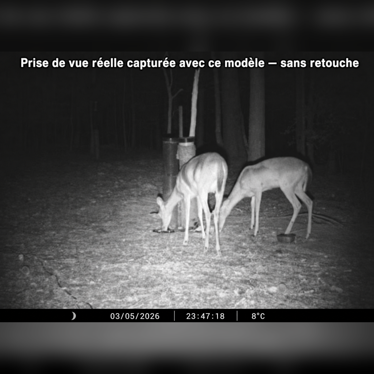 Vantage Tracker WiFi Trail Camera — night capture