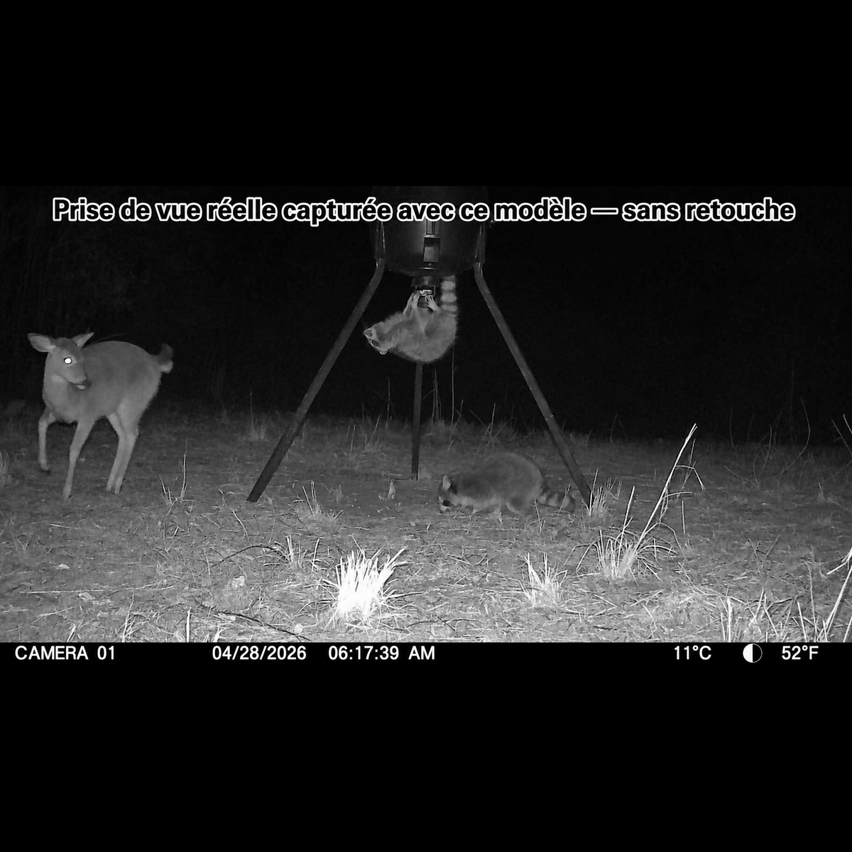 Vantage Sentry 1080p Trail Camera — detail view
